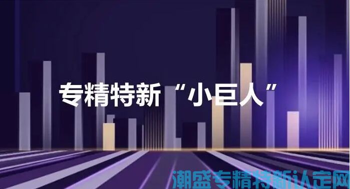 专精特新“小巨人”企业认定标准