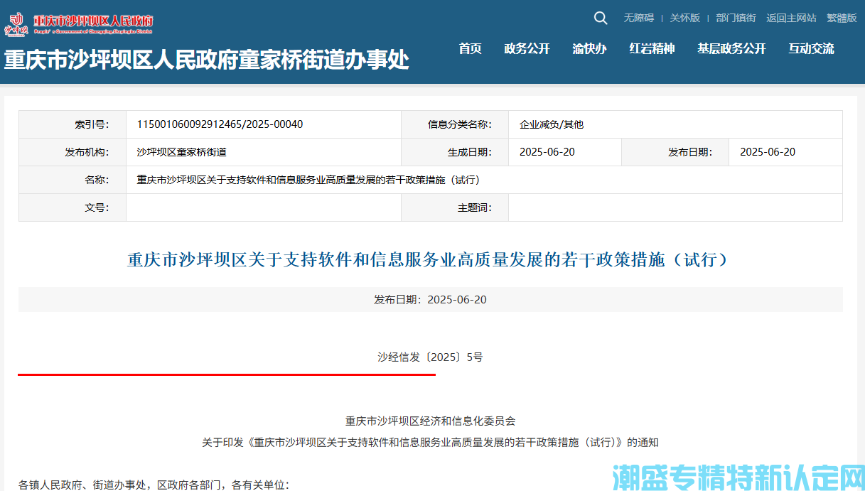重庆市沙坪坝区"专精特新"奖励政策：重庆市沙坪坝区关于支持软件和信息服务业高质量